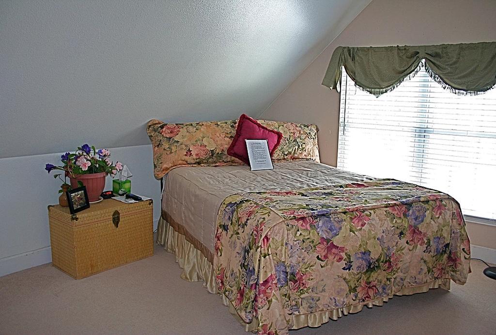 Davis Mountains Inn (Adults Only) 戴维斯堡 外观 照片